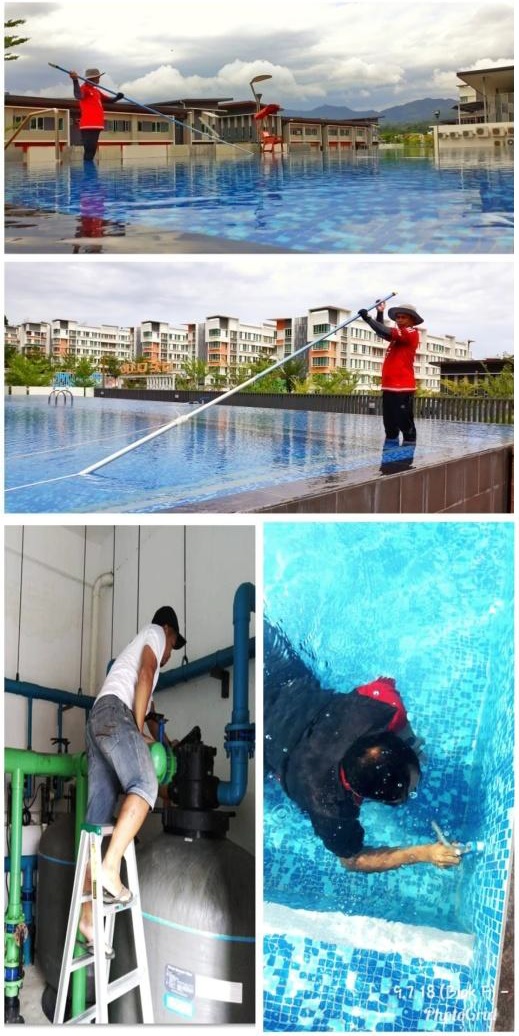 Cleaning Of The Swimming Pool