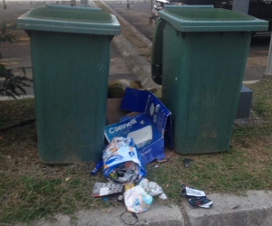 Rubbish outside the bin