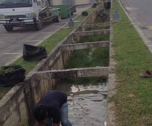Cleaning Storm Drain